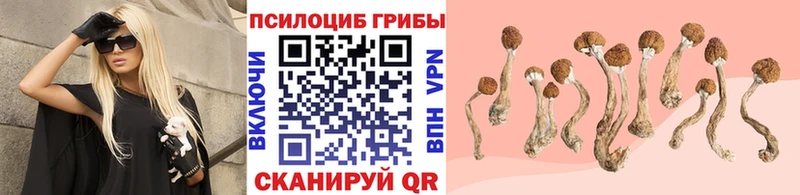 Галлюциногенные грибы мухоморы  Купить  Ступино 